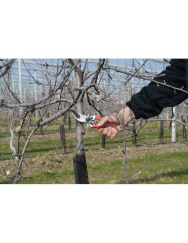 Tijera de Poda Universal Felco 2