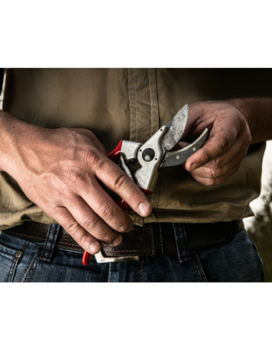 Tijera de Poda Universal Felco 2