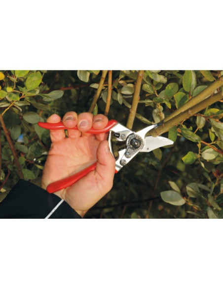 Tijera de poda ERGONOMICA Felco F6