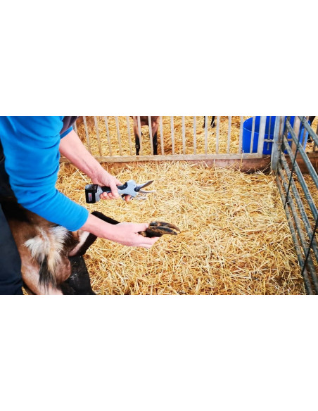 Tijera Eléctrica Arvipo PS32 EVO2 Hoof + 2 Baterías + Cargador (30050024002)