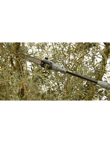 Motosierra Arvipo HS37PRO (1,8-2,55M) + 3 BATERÍAS +CARGADOR (30130023003)