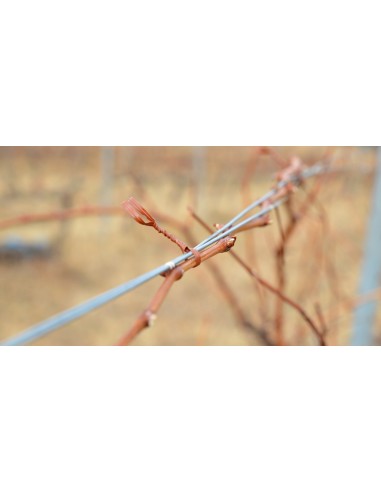 Atadora ARVIPO TM32 para viña