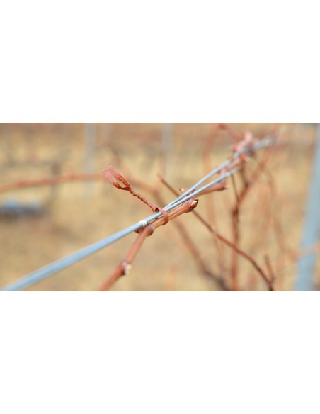 Atadora ARVIPO TM32 para viña