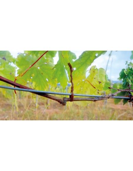 Atadora ARVIPO TM32 para viña