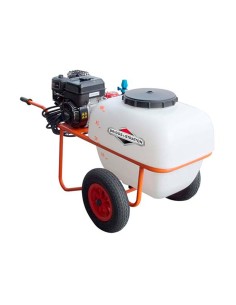 ANOVA CARRETILLA SULFATADORA