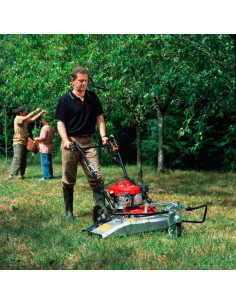 Desbrozadora  Honda UM536 (12001813) 2