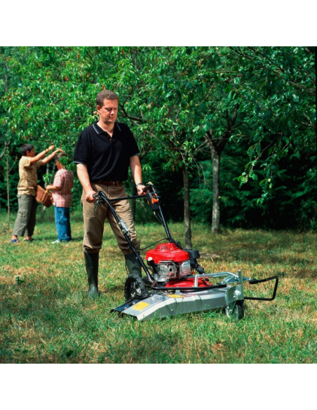 Desbrozadora  Honda UM536 (12001813)