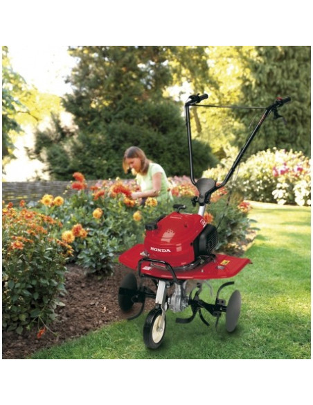 Motoazada Honda F220 (01001404)